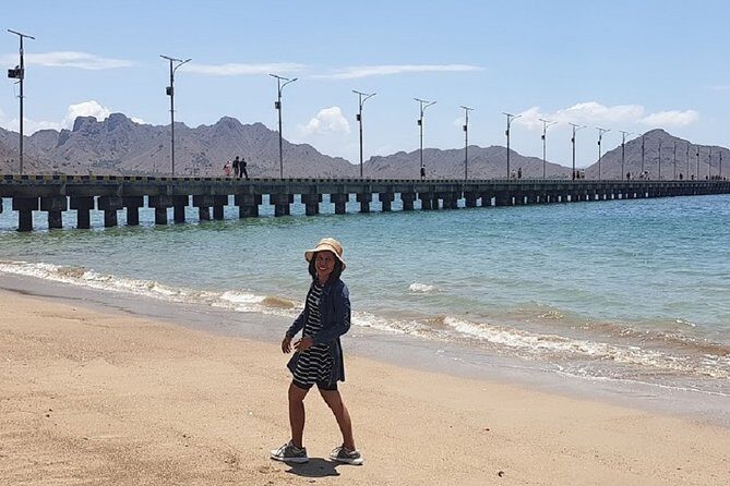 1- day Komodo island Tour hopping around by Speed Boat - Price and logistics: where the value really is