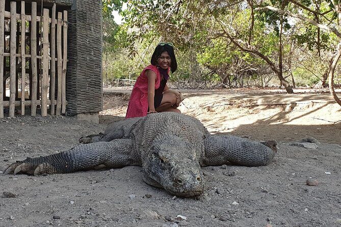 1- day Komodo island Tour hopping around by Speed Boat - Who this tour suits best (and who should reconsider)