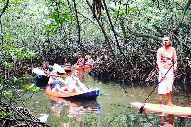 1 Hour Mangrove Tour From Lembongan with Kayak, Paddle, or Boat - Entering The Nusa Lembongan Mangroves: What this one hour is like