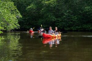 1 Hour Mangrove Tour From Lembongan with Kayak, Paddle, or Boat - Transfers from your hotel: the real convenience win