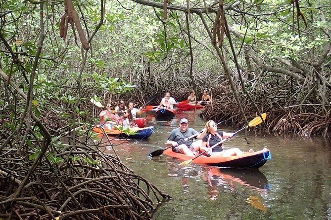 1 Hour Mangrove Tour From Lembongan with Kayak, Paddle, or Boat - Safety and staff supervision: calm waters, smart rules
