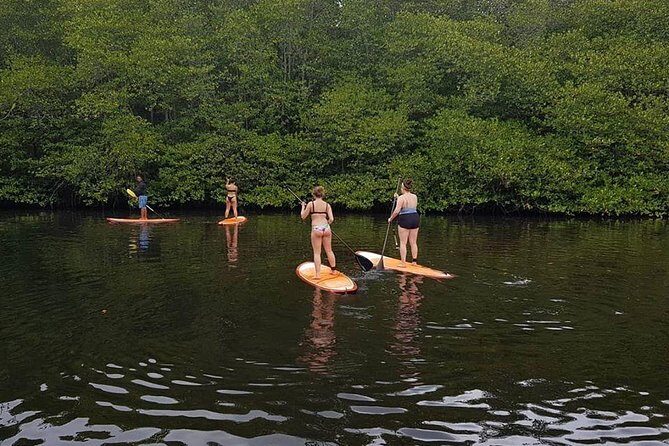1 Hour Mangrove Tour From Lembongan with Kayak, Paddle, or Boat - Timing, pacing, and the “1 hour” reality check