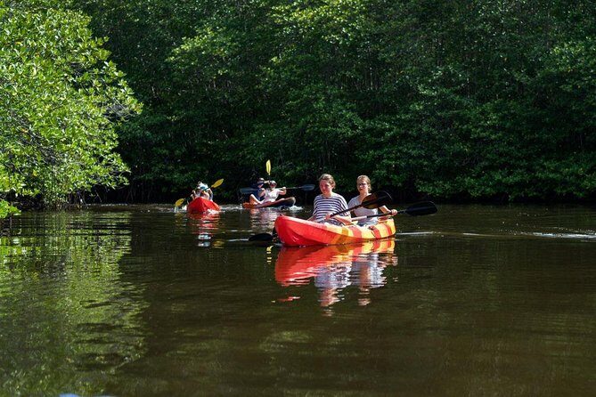 1 Hour Mangrove Tour From Lembongan with Kayak, Paddle, or Boat - Transfers from your hotel: the real convenience win