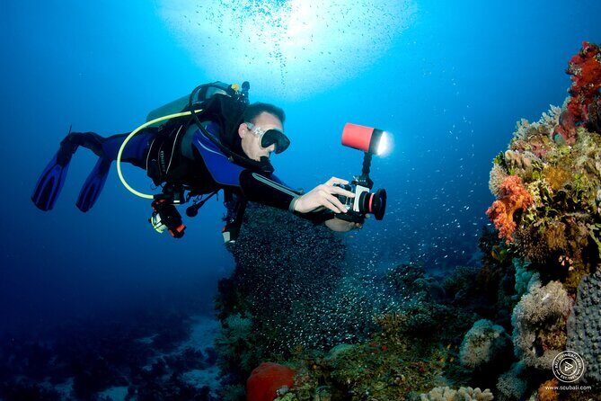 2 or 3 dives in Nusa Lembongan and Penida, for certified diver (in Lembongan) - So, Should You Book This Nusa Lembongan and Penida Plan?
