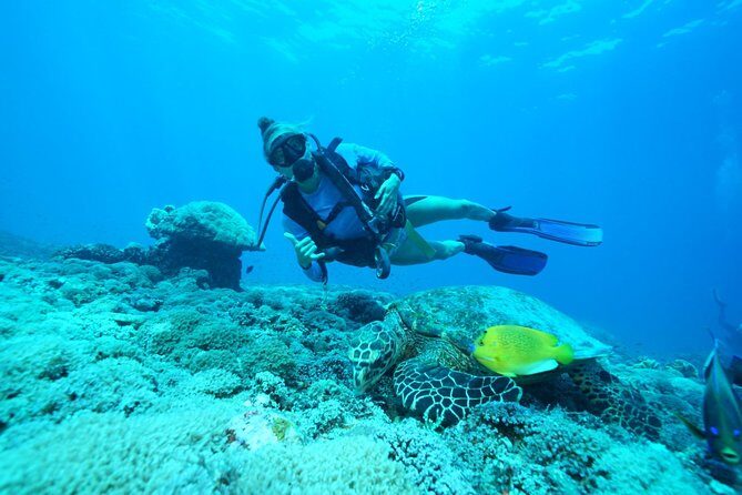 2 or 3 dives in Nusa Lembongan and Penida, for certified diver (in Lembongan) - Your 6-Hour Schedule: Meet Early, Then Eat While You Wait