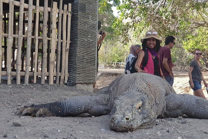 3-Day Komodo island Tour with or without Roundtrip Flight From Bali - Price and value: what’s included, what costs extra, and why it matters