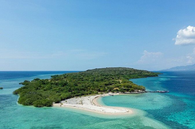 3 Days PADI Open Water Course in Pemuteran - Menjangan Island Potential: Wildlife Moments in the Right Context
