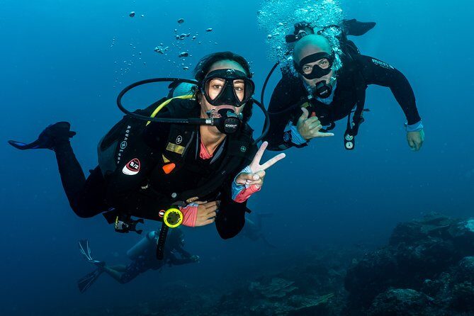 5 Fun Dives in Pemuteran (for certified divers) - Exploration in Menjangan Park - Who This Scuba Package Suits Best
