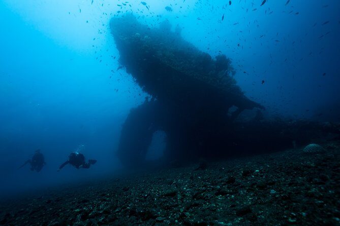 5 Fun Dives in Tulamben (for certified divers) - Discover famous diving sites - Underwater Stops Explained: USAT Liberty, Boga, Coral Garden, Lava Drop-off, and Macro Areas