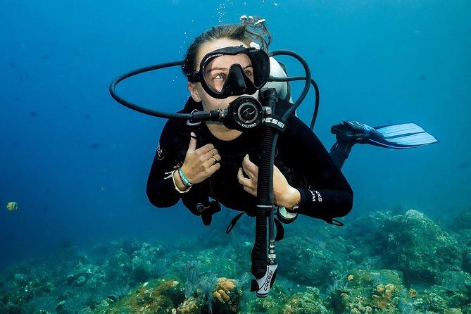 7 Fun Dives in Nusa Lembongan (for certified divers) - Premium Value Package - Mola Mola and Manta Rays: Setting Expectations Without Guesswork