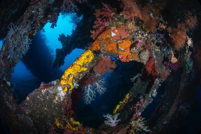7 Fun Dives in Tulamben (for certified divers) - Premium Value Package - The guide experience: safety, spotting, and that can-do attitude