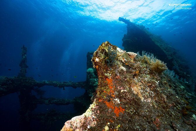 7 Fun Dives in Tulamben (for certified divers) - Premium Value Package - Should you book this Tulamben 3-day, 7-outing package?