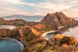 A Day to Komodo Island - Komodo Island: ranger-led dragon time (wild, not scripted)