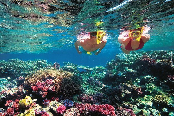 A Day to Komodo Island - Pink Beach: more than a pretty stop