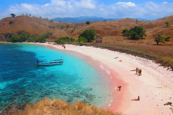 A Day to Komodo Island - Timing and group size: how to avoid a rough day