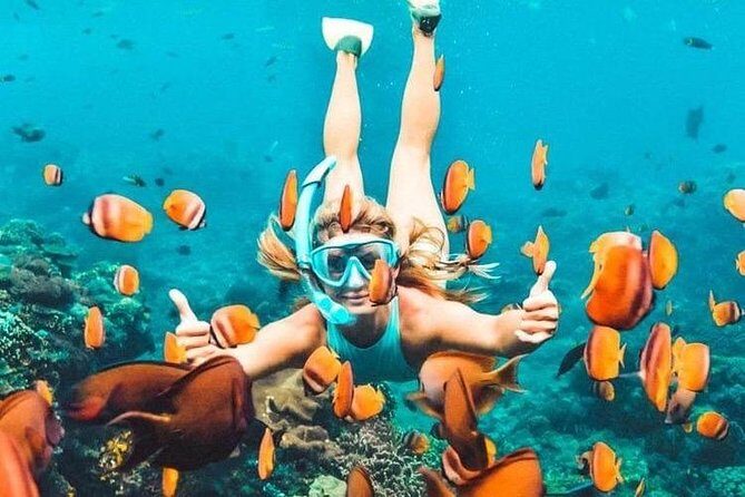 All Inclusive : Bali Blue Lagoon Snorkeling, Lunch, and Transport - Ubud to Padangbai: the travel day you should plan for