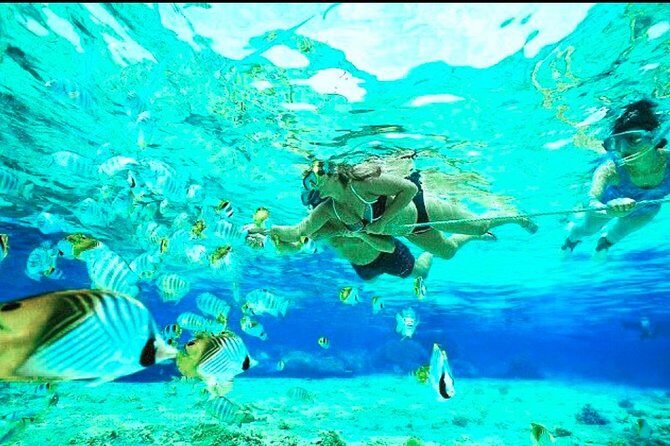 All Inclusive : Bali Blue Lagoon Snorkeling, Lunch, and Transport - What the all-inclusive bundle actually covers (and what it doesn’t)