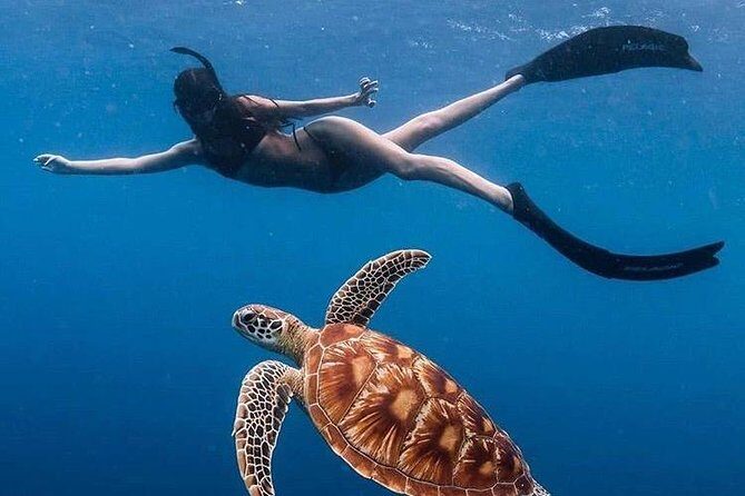 All Inclusive : Bali Blue Lagoon Snorkeling with Lunch &Transfers - Key highlights to know before you go
