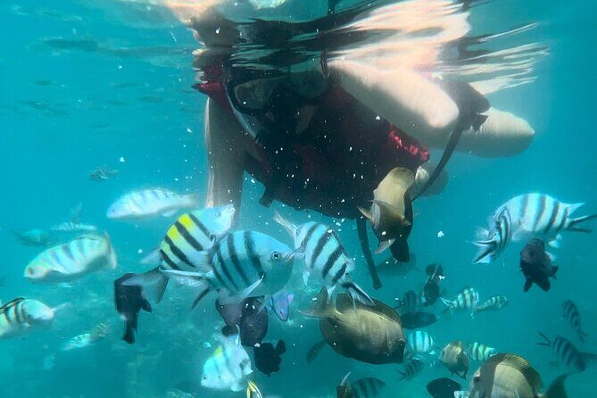 All Inclusive : Bali Blue Lagoon Snorkeling with Lunch &Transfers - From Ubud to the water: what the transfers really add up to