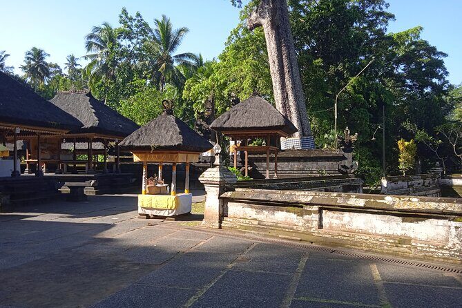 [All Inclusive] The Soul of Bali: Temples, Art & Traditions Tour - Goa Gajah (Elephant Cave): a temple with serious 11th-century roots