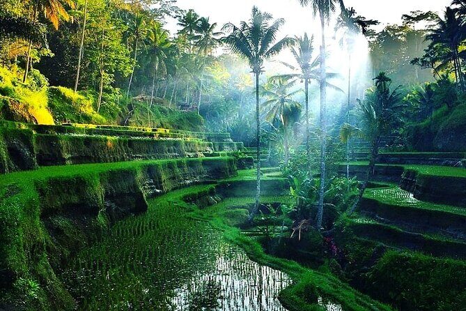 [All Inclusive] The Soul of Bali: Temples, Art & Traditions Tour - Guides matter: Komang and Wayan as a clue to the experience