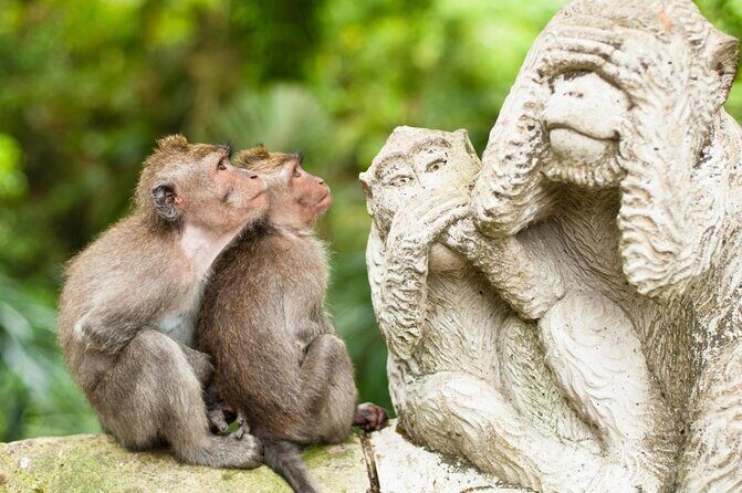 All-Inclusive Ubud Private Tour - Key Highlights to Know Before You Go