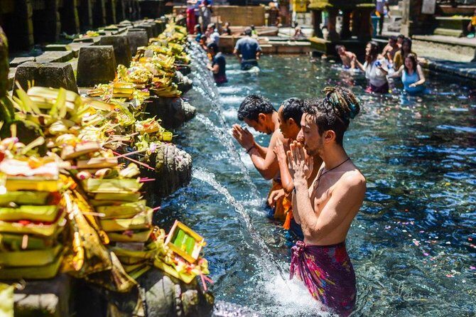 All-Inclusive Ubud Private Tour - Lunch At D Alas Warung And The Ubud Swing Experience