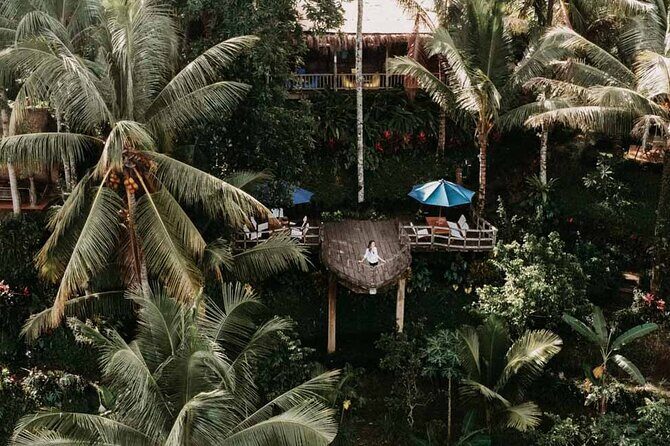 All-Inclusive Ubud Private Tour - Tegenungan Waterfall: The Final Nature Payoff