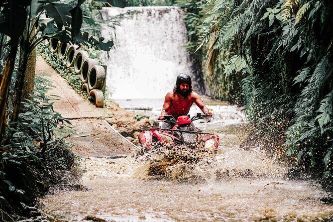 ATV Quad Bike Bali with Waterfall Gorilla Cave and Lunch - Lunch in nature: what’s included and what’s realistic