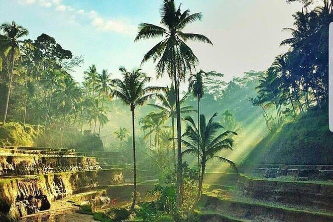 ATV Ride & Ubud Tour - How this ATV + Ubud icons combo saves you time