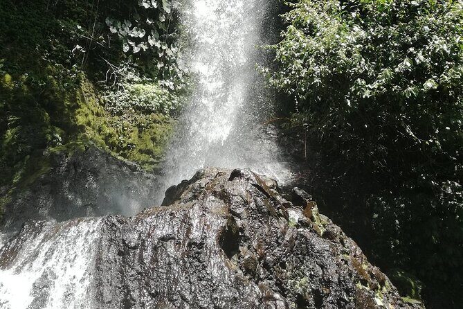 Ayung Rafting Ubud (Include Lunch & Return Transportation) - Grade II–III Rapids on the Ayung: How Long, How Wild, and What You’ll See