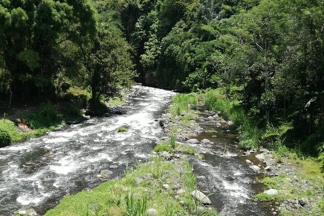 Ayung Rafting Ubud (Include Lunch & Return Transportation) - Price Value at $75: Transfers, Gear, and the Stuff You’d Otherwise Pay for