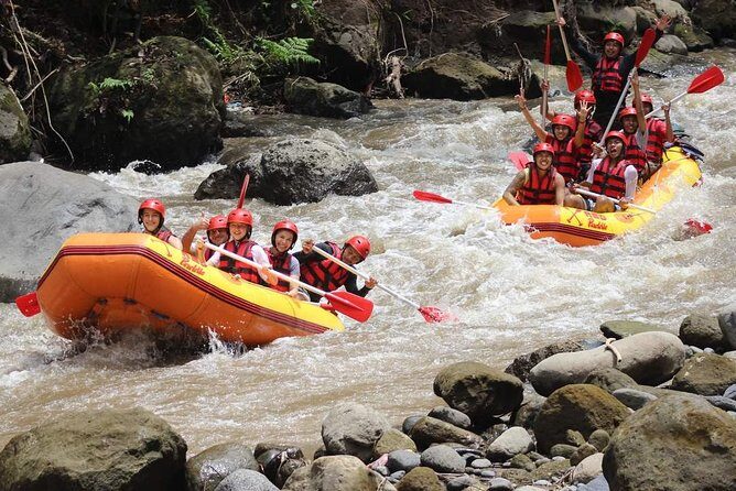 Ayung River - White Water Rafting Bali - Transfers That Actually Help (Ubud Pickup and South Bali Drop-Off)