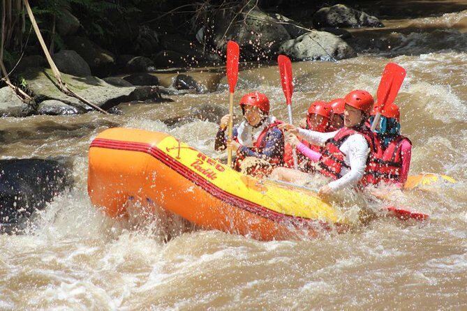 Ayung River - White Water Rafting Bali - Two Hours on the Ayung: What It Feels Like on Grade II–III Water