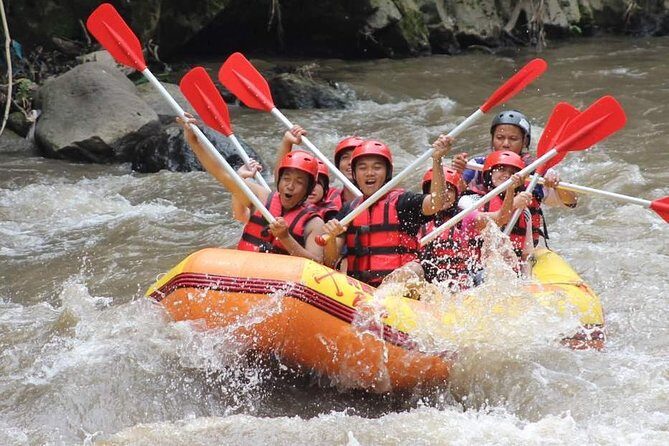 Ayung River - White Water Rafting Bali - Price and Value: What $30 Buys You in Ubud