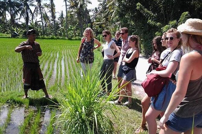 Bali Amazing Cooking Class - Getting picked up, staying comfortable, and packing smart