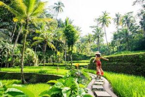 Bali ATV Quad Bike with Ubud Day Tour All Inclusive - Ubud Monkey Forest: temples, macaques, and a short walk with personality