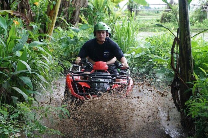 Bali ATV Quadbike Through Gorilla Face Cave - Riding through rice fields, jungle tracks, and river crossings