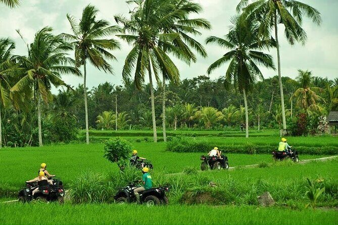 Bali ATV Ride waterfall jungle and rice fild track ubud - Entering the Ubud ATV track: what this tour feels like