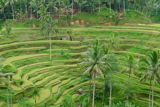 Bali Benoa Shore Excursion for Cruise's Passenger - All Inclusive - Celuk Village Crafts: Gold and Silver Work Up Close