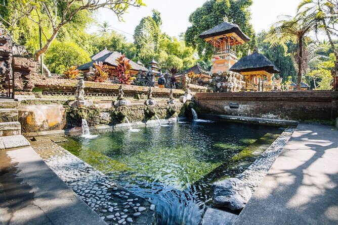 Bali Best Of Ubud Tour Private and All Inclusive - The Value Math: Why Private and All-Inclusive Works Here