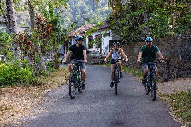 Bali Bike Tour Ubud Area - Quick take: what makes this Ubud bike tour special