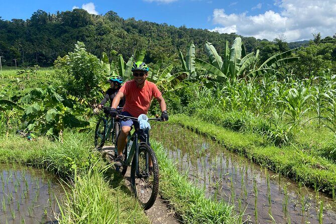 Bali Bike Tour Ubud Area - Why biking north of Ubud is such a smart move