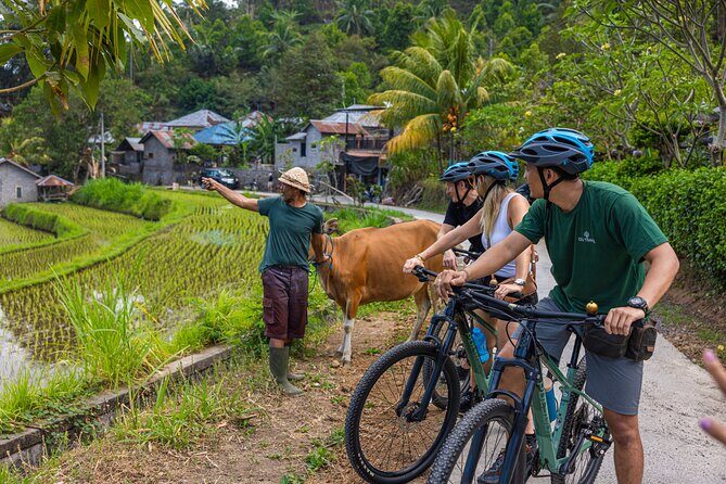 Bali Bike Tour Ubud Area - Stop 2: Ubud countryside cycling + a family compound visit