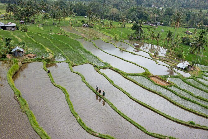 Bali Bike Tour Ubud Area - What’s included (and how it affects value)