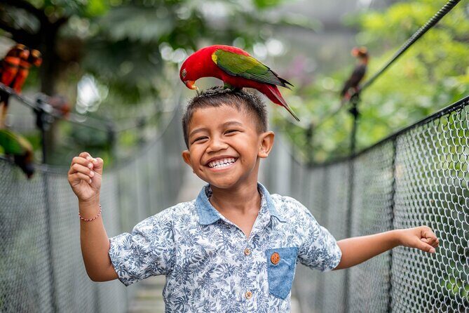 Bali Bird Park Admission Ticket - What Your Ticket Covers: Shows, Feedings, and the 4D Movie