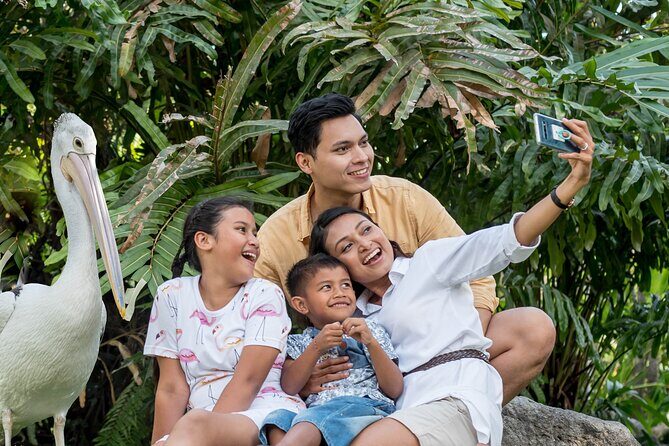 Bali Bird Park Admission Ticket - Interactive Feeding Sessions: Lorikeets, Pelicans, and Avian Nursery Moments