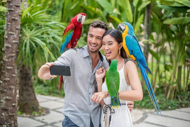 Bali Bird Park Admission Ticket - Walking the Grounds: Lush Gardens, Aviaries, and Roaming Birds