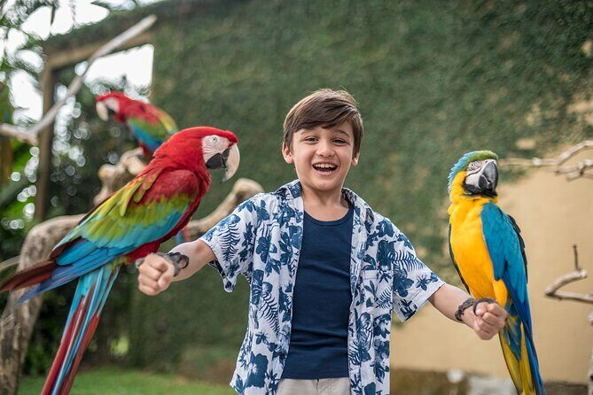 Bali Bird Park Admission Ticket - Food, Photos, and What to Budget Beyond Your Ticket