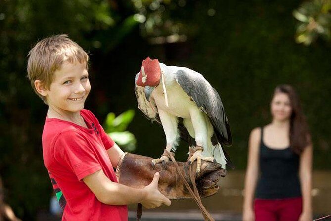 Bali Bird Park Admission Ticket with Hotel Transfer - Why Bali Bird Park feels like a plan, not a chore